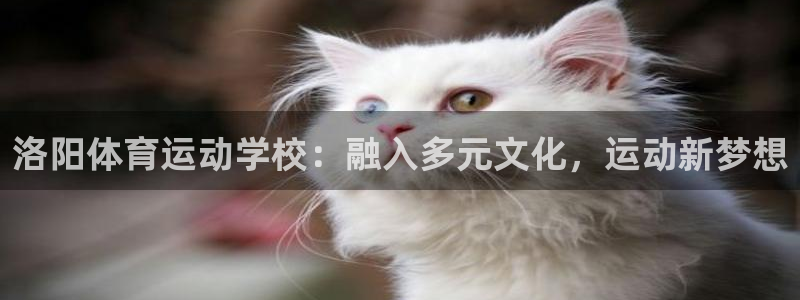 上海杏悦2汽车电子有限公司