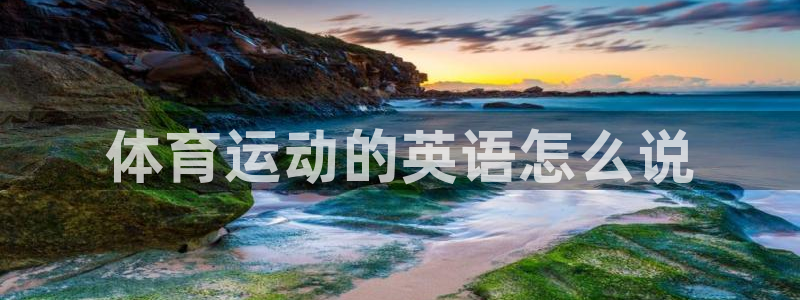 杏悦2主管