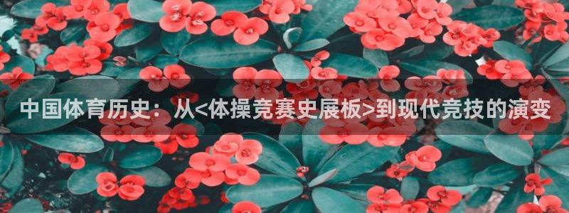 杏悦2体育4