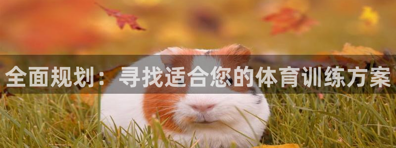 杏悦2体育注册代理