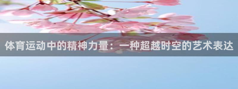 杏悦2娱乐平台
