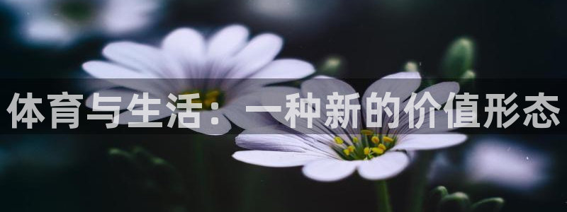 杏悦2f凯捷平台在线注册