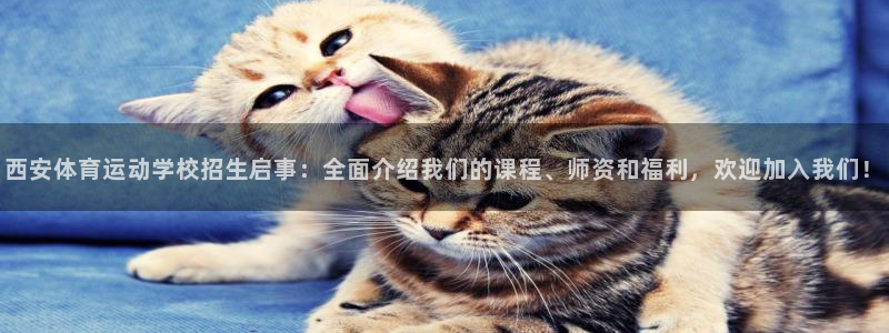杏悦24平台