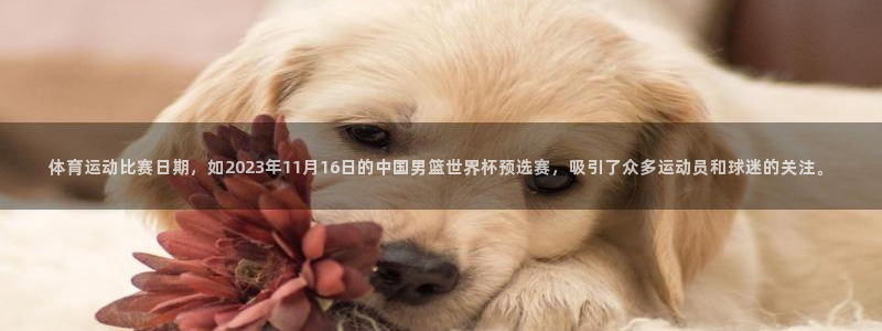 杏悦2体育热门赛事有哪些