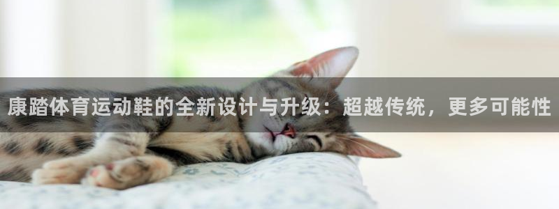 杏悦2体育在线注册