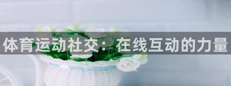 www.杏悦2体育.com