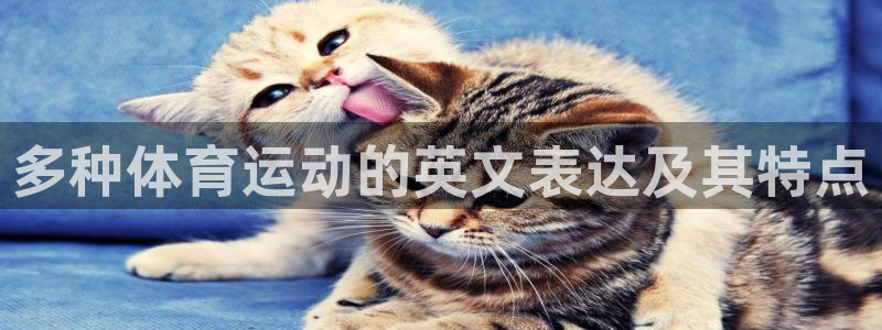 杏悦2官网入口