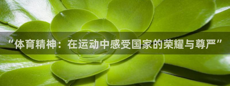 佛山市南海杏悦2机电仪器有限公司