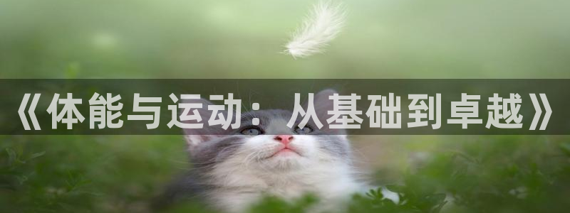 杏悦23