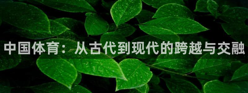 杏悦2体育官网入口登录