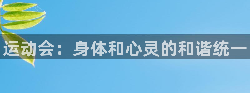杏悦24官网