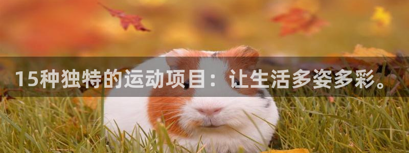 杏悦2主管球27337