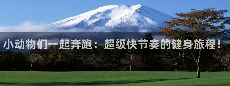 杏悦2官网入口